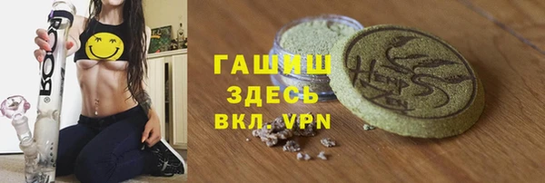 гидра Бородино