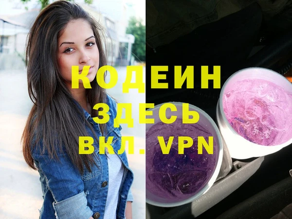 гидра Бородино
