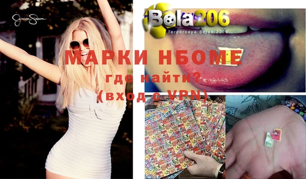 гидра Бородино