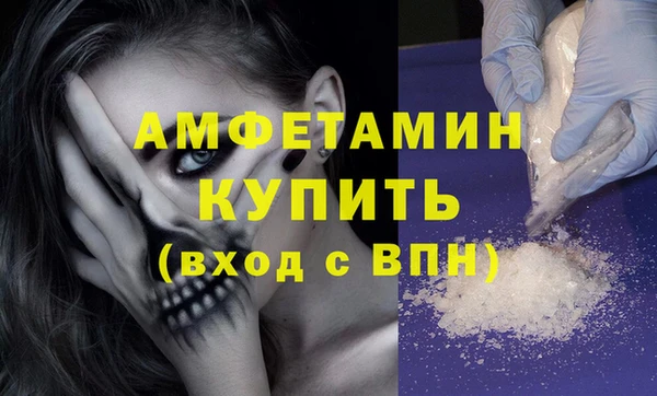 гидра Бородино