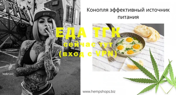 мдпв Вязьма
