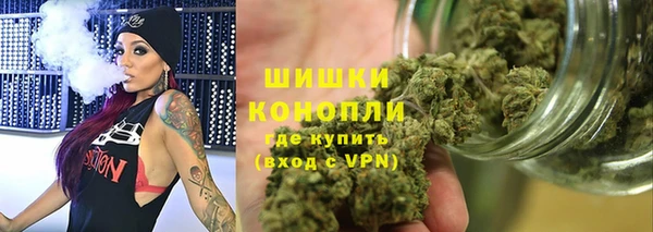 дмт Богородицк