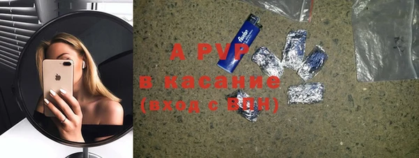 гидра Бородино