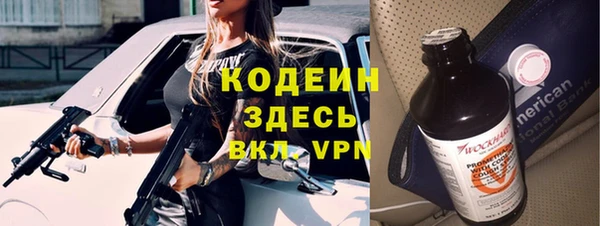 гидра Бородино