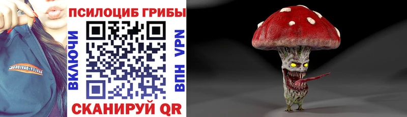 наркотики  Высоцк  Псилоцибиновые грибы прущие грибы 